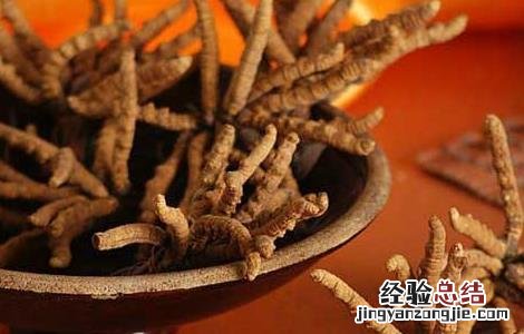 冬虫夏草一天吃几根 冬虫夏草一天吃几根合适