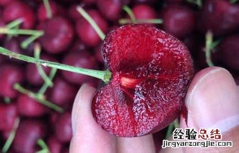 车厘子怎么保存时间长一点 车厘子怎么保存时间长