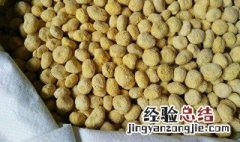法半夏的功效与作用 法半夏的功效与作用有哪些呢？