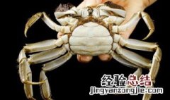 大闸蟹怎么放 大闸蟹的保存方法