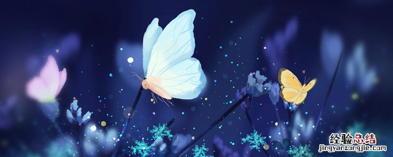 庄生晓梦迷蝴蝶用的典故是什么 庄生晓梦迷蝴蝶一句中庄生梦蝶典故来自