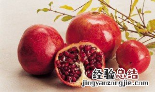 石榴英语怎么说 软籽石榴英语怎么说