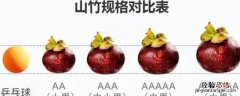 山竹一斤大概多少个 6a山竹直径一般多大