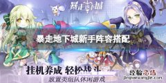 暴走地下城阵容搭配 地下城加暴走的装备
