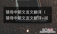 猿母中箭文言文翻译+阅读答案 猿母中箭文言文翻译