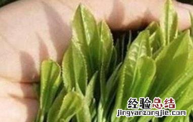 富硒茶的功效与作用及禁忌 富硒茶的功效与作用