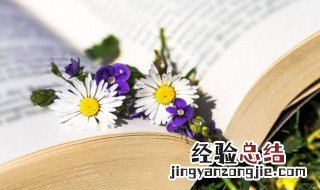 内熊啥意思 内熊是什么意思