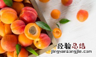 腌杏子怎么做好吃 腌杏子怎么做