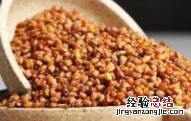 苦荞麦茶的食用方法和用量 苦荞麦茶的食用方法