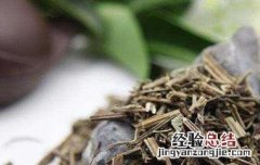 薄荷如何做成干茶叶用 薄荷如何做成干茶叶