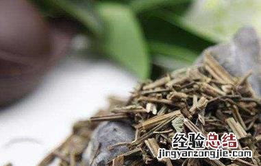 薄荷如何做成干茶叶用 薄荷如何做成干茶叶