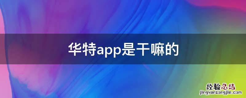 华特app是干嘛的 华特app是做什么的