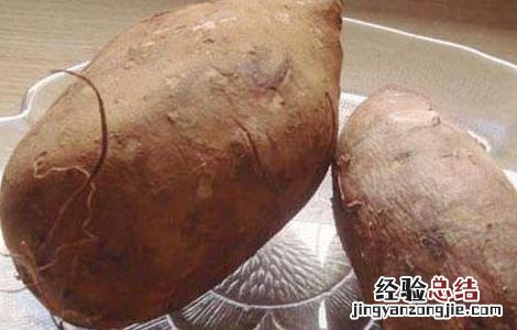 雪莲果的功效与作用禁忌 雪莲果的功效与作用