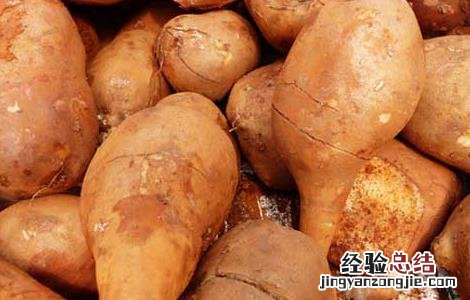 雪莲果的功效与作用禁忌 雪莲果的功效与作用