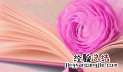 昭君出塞的历史意义是什么 昭君出塞的历史意义总结