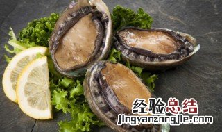 黑鲍鱼怎么煮 黑鲍鱼怎么做好吃