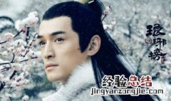 外国怎么评价琅琊榜 琅琊榜 讲的是什么