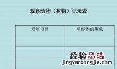 植物记录卡怎么做 小学生 最好看的格式