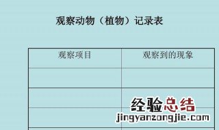 植物记录卡怎么做 小学生 最好看的格式