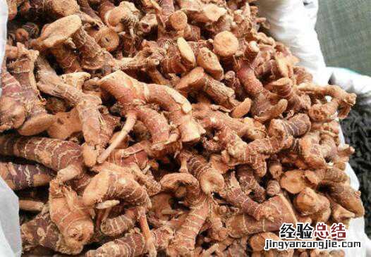 高良姜的功效与作用及禁忌有哪些 高良姜的功效与作用及禁忌有哪些食物