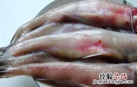 龙头鱼为什么有甲醛味 龙头鱼为什么有甲醛