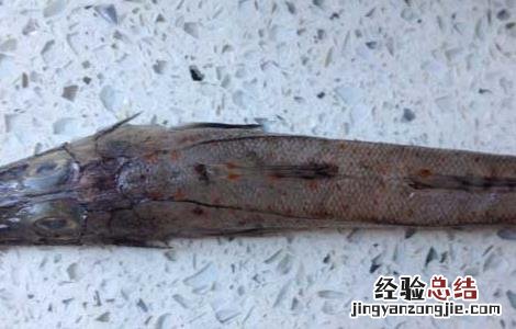 龙头鱼为什么有甲醛味 龙头鱼为什么有甲醛