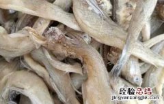 龙头鱼为什么有甲醛味 龙头鱼为什么有甲醛
