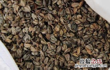 荞麦枕头的功效与作用 荞麦枕头的功效与作用3岁可以用吗