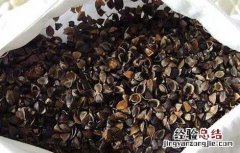 荞麦枕头的功效与作用 荞麦枕头的功效与作用3岁可以用吗