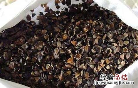 荞麦枕头的功效与作用 荞麦枕头的功效与作用3岁可以用吗