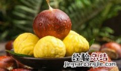 怎么煮毛栗子 如何煮毛栗子