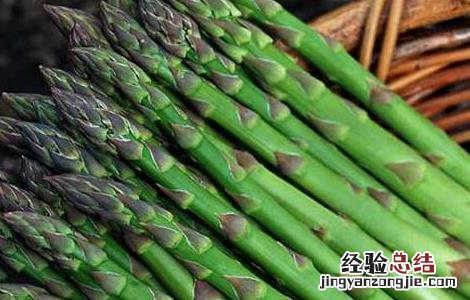 芦笋茶的功效与作用 芦笋茶的功效与作用及食用方法