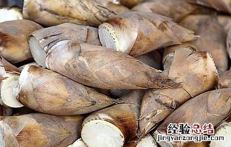 冬笋要不要焯水