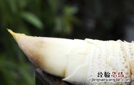 新鲜冬笋如何保鲜 新鲜冬笋如何保鲜保存