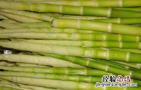 新鲜春笋怎么保存最好 新鲜春笋怎么保存