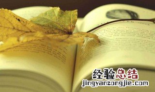 悲惨世界的故事背景是什么 悲惨世界的故事背景是什么