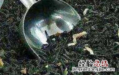 佛手香橼茶的功效与作用 佛手香橼茶有什么功效