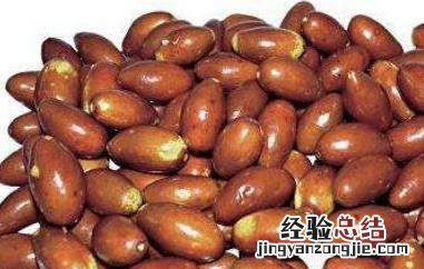 马牙枣什么时候成熟 马奶枣什么时候成熟