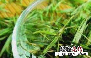 石竹茶的功效与禁忌 石竹茶的功效与禁忌百度百科
