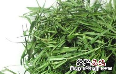 石竹茶的功效与禁忌 石竹茶的功效与禁忌百度百科