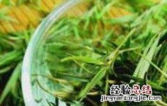 石竹茶的功效与禁忌 石竹茶的功效与禁忌百度百科