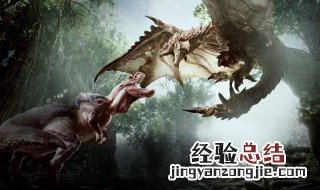 冥灯龙弱什么属性 怪物猎人冥灯龙的物理弱点在哪里
