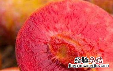 红心李子的功效与作用及禁忌 红心李子的功效与作用