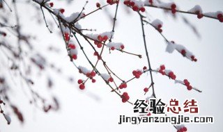 小雪节气晴天预示 大雪节气晴天预示