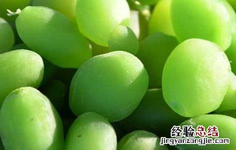 青果的功效与作用禁忌 青果的功效与作用