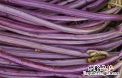 蕨菜吃了真的会致癌吗 蕨菜吃了真的会致癌吗?