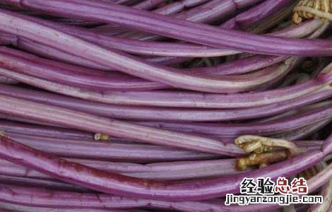 蕨菜吃了真的会致癌吗 蕨菜吃了真的会致癌吗?
