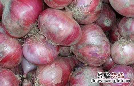 洋葱可以去除甲醛吗 洋葱可以去除甲醛吗有毒吗