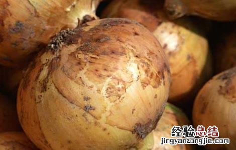 洋葱可以去除甲醛吗 洋葱可以去除甲醛吗有毒吗