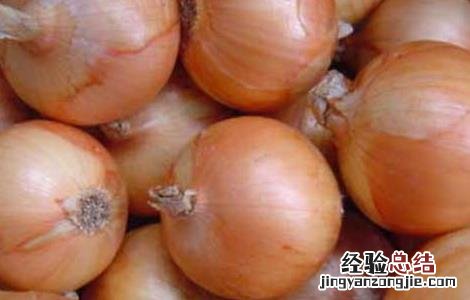 洋葱可以去除甲醛吗 洋葱可以去除甲醛吗有毒吗